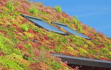 Claypole living roof systems